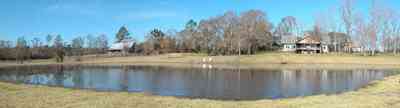 Allentown:-Bloechle-Farm_05.jpg:  catfish pond, lake, barn, farmhouse, 