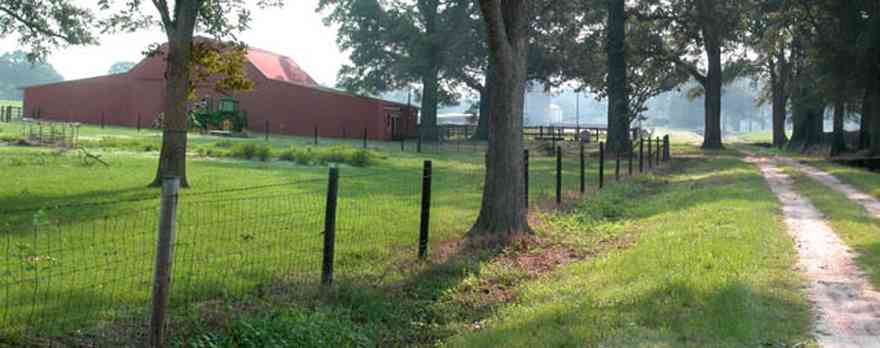 Allentown:-Double-H-Ranch_01.jpg:  gate, archway, fence line, oak tree, old red barn, dirt road, haze, fog, ranch, farmland, 