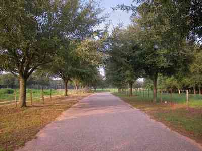 Allentown:-Hopewell-Road_04.jpg:  county road, winding road, spanish moss, narrow winding road, oak tree, pasture land, farm, farmland