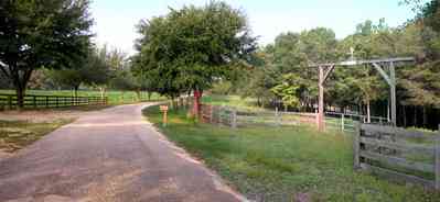 Allentown:-Hopewell-Road_07.jpg:  county road, winding road, spanish moss, narrow winding road, oak tree, pasture land, farm, farmland