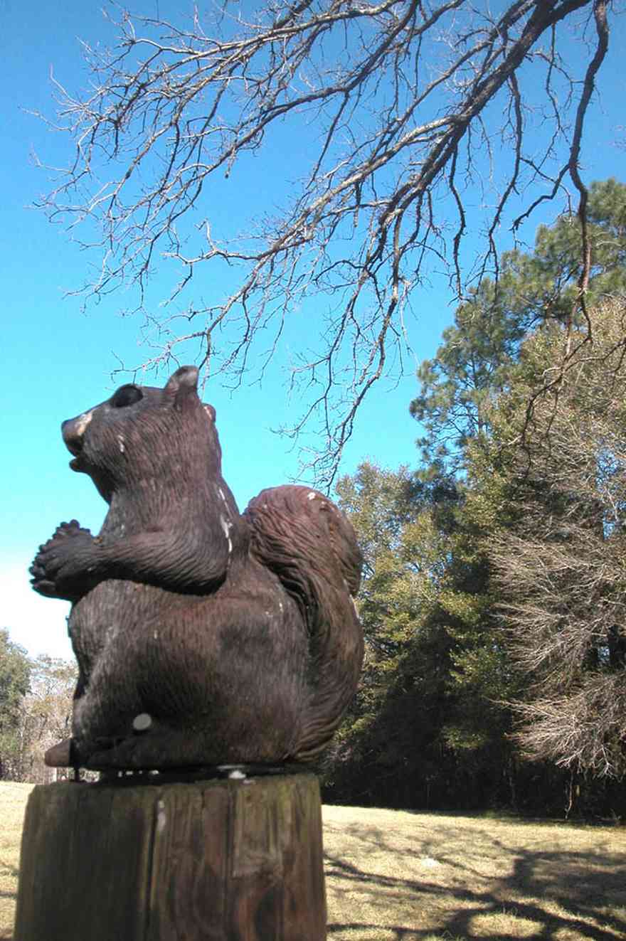 Allentown:-Mathews-Back-40_01.jpg:  county road, winding road,oak tree, pasture land, farm, farmland, squirrel statue, 