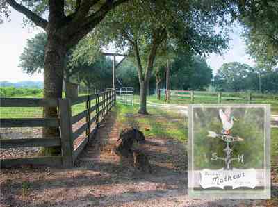 Allentown:-Mathews-Farm_000a.jpg:  gate, weather vane, sign, oak tree, farmland