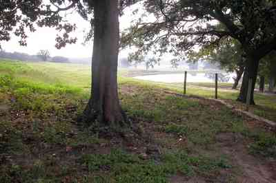 Allentown:-Mathews-Farm_02.jpg:  lake, pond, farmland, farm, pastureland, pasture, oak tree, dirt road, winding road