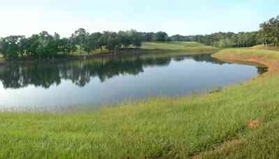 Allentown:-Mathews-Farm_04-copy.jpg:  lake, pond, farmland, farm, pastureland, pasture, oak tree, dirt road, levee, winding road