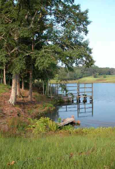 Allentown:-Mathews-Farm_05.jpg:  lake, pond, farmland, farm, pastureland, pasture, oak tree, dirt road, winding road