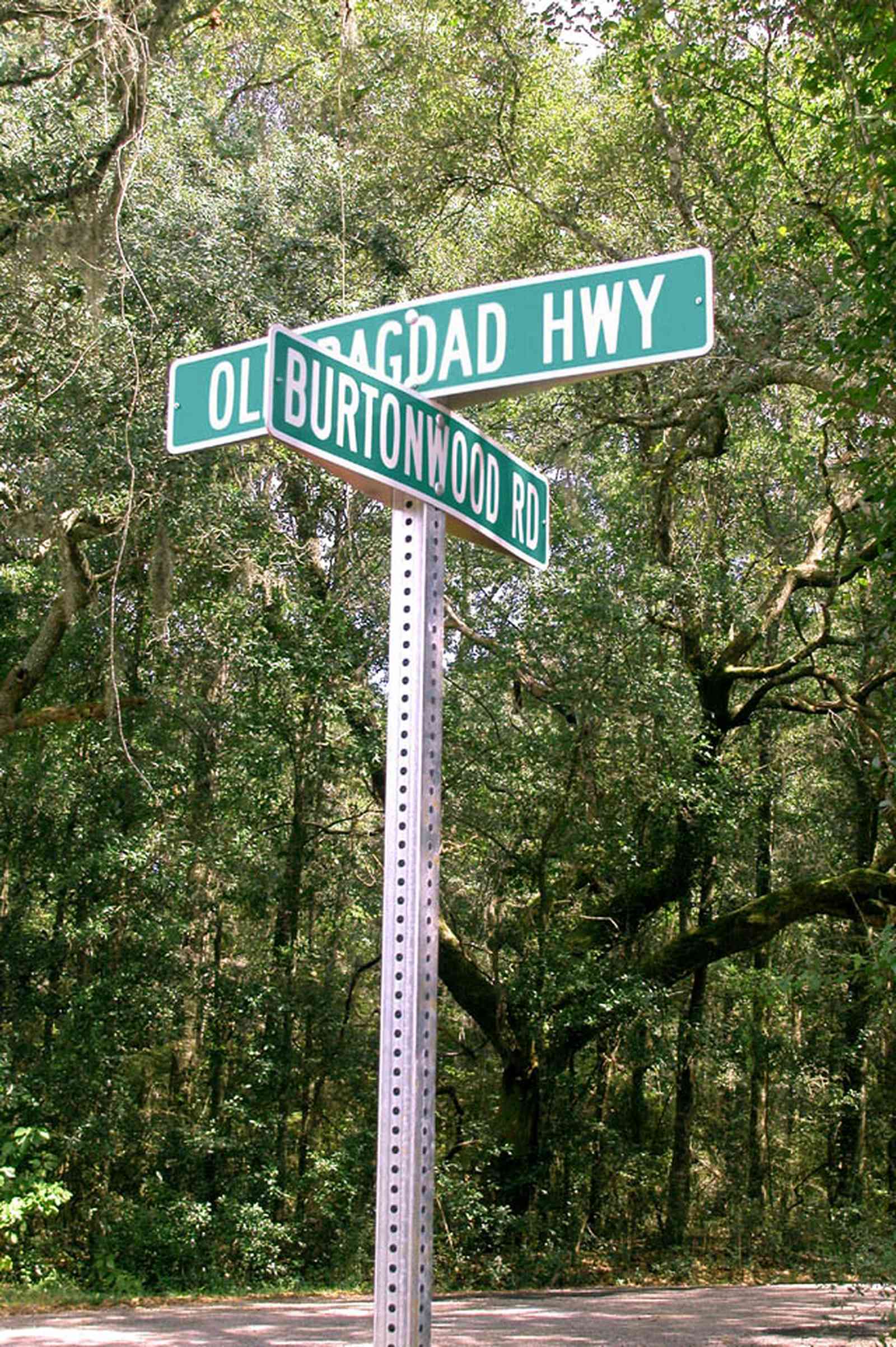 Bagdad:-Cemetery_01.jpg:  road sign, oak tree, spanish moss, country road, two-lane road, canopy of trees, dense forest
