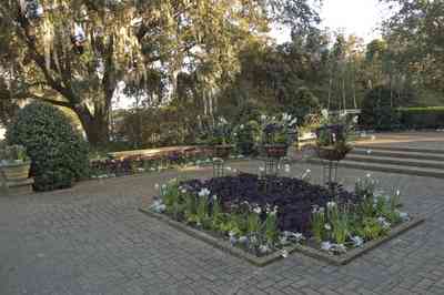 bellingrath+gardens-flower+patio_02.jpg:  