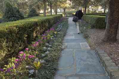 bellingrath+gardens-flower+walkway_01.jpg:  