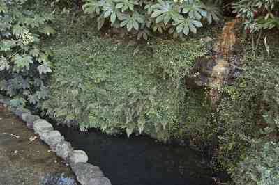 bellingrath+gardens-grotto_02.jpg:  