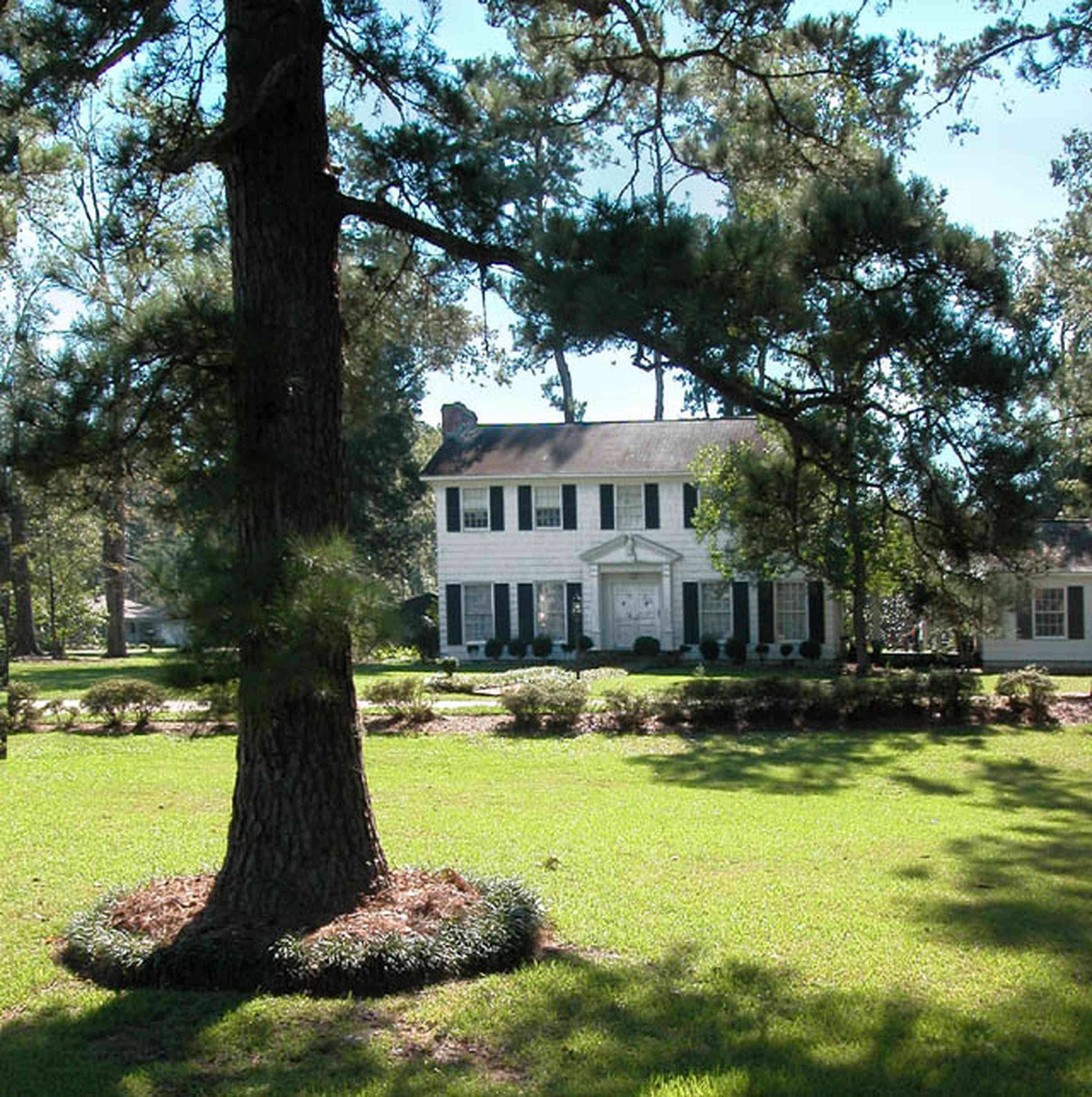 Century:-7542-South-Jefferson-Avenue_01.jpg:  colonial home, pediment, formal doorway, pine tree, azelea bush, country estate