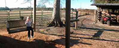 Century:-Brown-Farm_11.jpg:  swing, barn, 4-wheeler, hay field, dirt, oak tree, fence