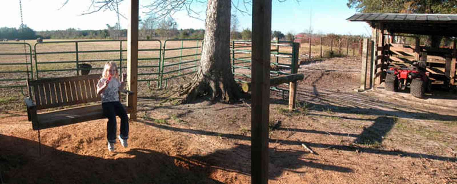 Century:-Brown-Farm_11.jpg:  swing, barn, 4-wheeler, hay field, dirt, oak tree, fence