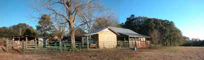 Century:-Brown-Farm_12.jpg:  fence, barns, pecan tree, hay field, horses, chickens, rodeo rider