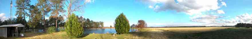 Davisville:-Beck-Sod-Farm_01.jpg:  catfish pond, fir tree, shed, windmill, sod, turf
