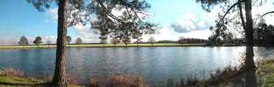 Davisville:-Beck-Sod-Farm_05.jpg:  catfish pond, fir tree, shed, windmill, sod, turf