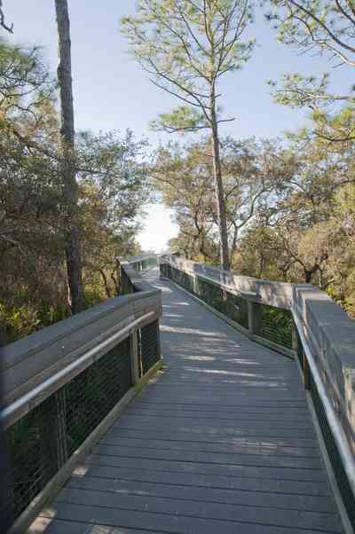 deer+lake-boardwalk_01.jpg:  