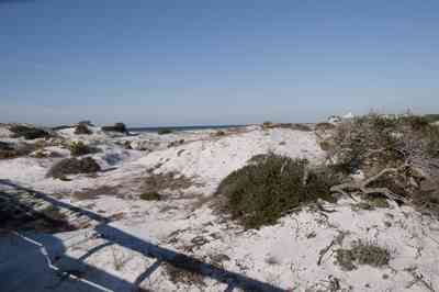 deer+lake-dunes_01.jpg:  