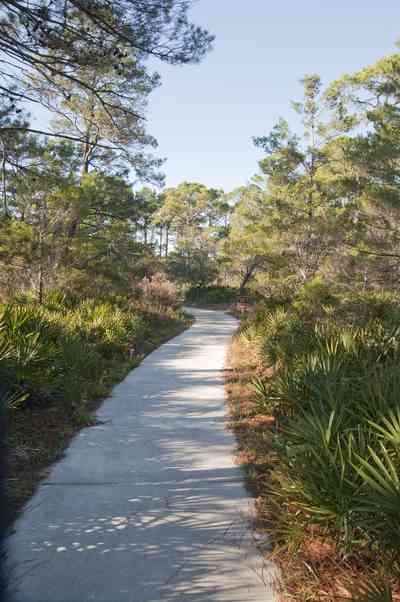 deer+lake-trail.jpg:  