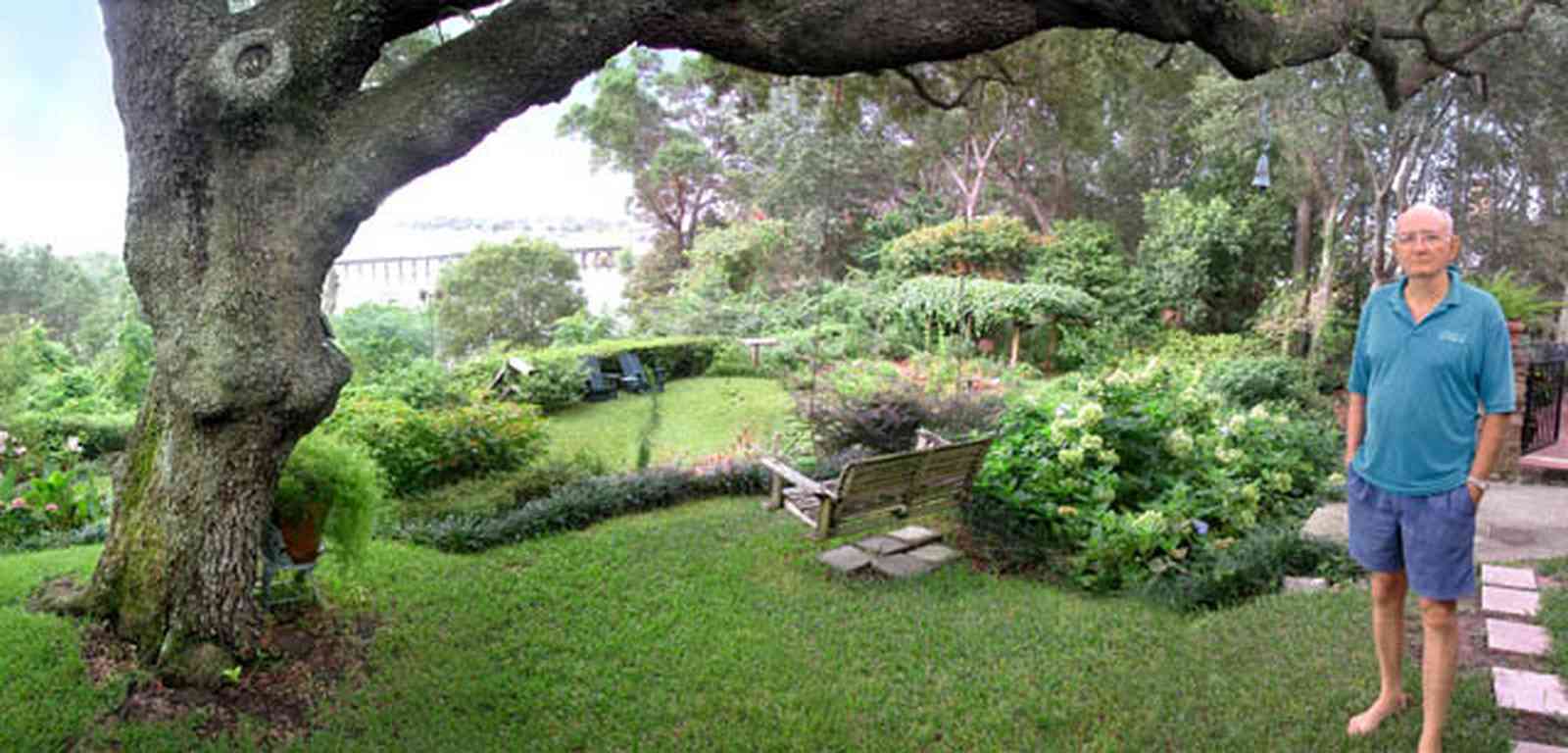 East-Hill:-1801-East-La-Rua-Street_11.jpg:  oak tree, swing, hydranga bushes, patio
