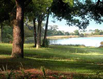 East-Pensacola-Heights:-118-Bayou-Blvd_07.jpg:  bayou texar, oak tree, park, pensacola bay