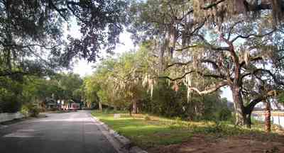 East-Pensacola-Heights:-118-Bayou-Blvd_10.jpg:  bayou texar, oak tree, park, pensacola bay
