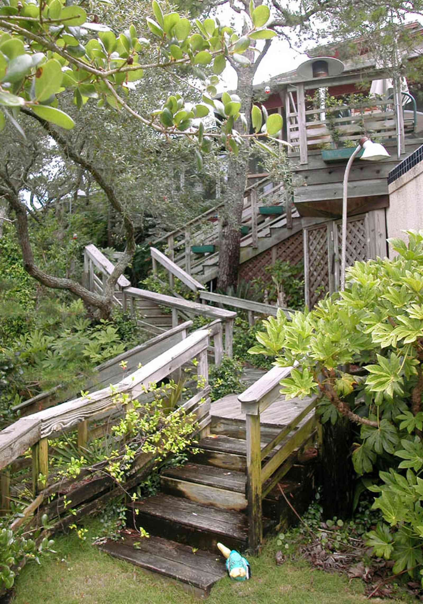 Gulf-Breeze:-92-High-Point-Drive_Dr_16.jpg:  deck, wooden staircase, tropical forest, tree house, bay tree, wooden steps