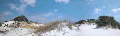 Gulf-Islands-National-Seashore:-Dunes:-Parking-Lot-9_06.jpg:  cumulus clouds, quartz sand, dunes, wild flowers, sea oats