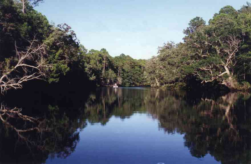 Gulf-Islands-National-Seashore:-East-River_01.jpg:  swamp, oak trees, lagoon, river