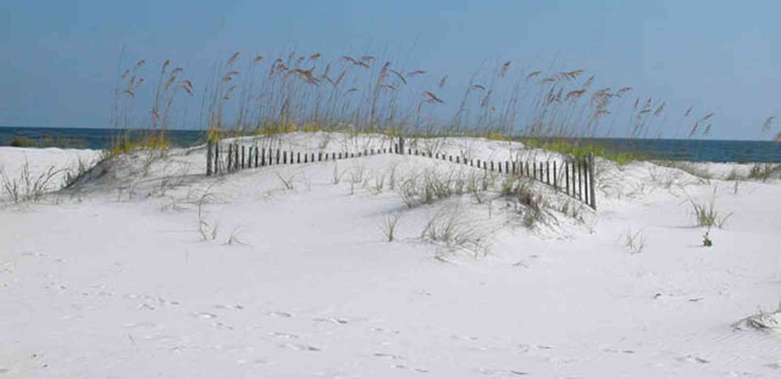 Gulf-Islands-National-Seashore:-Langdon-Beach_11.jpg:  dunes, dune fences, sea oats, quart sand, surf, gulf of mexico