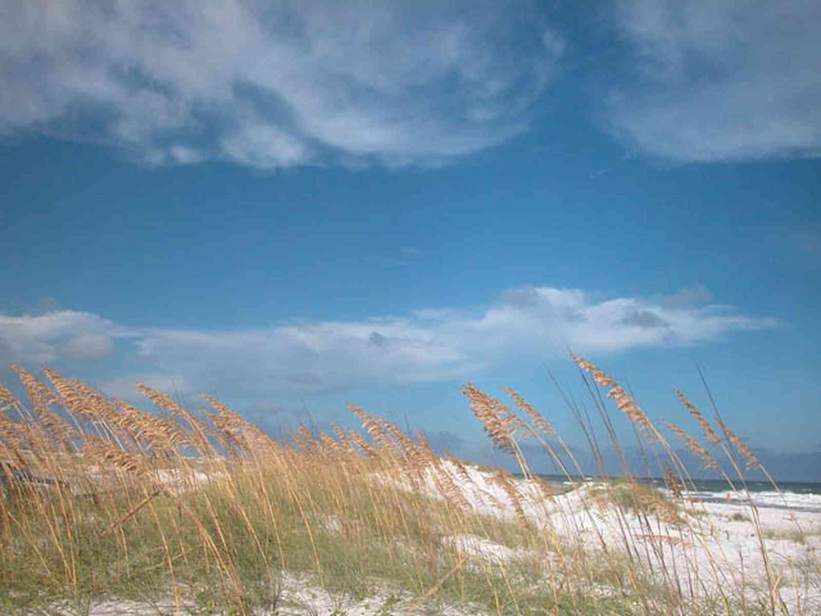 Gulf-Islands-National-Seashore:-Parking-Lot-9_05.jpg:  sea oats, mixed skies, quartz sand, barrier island, surf, dunes