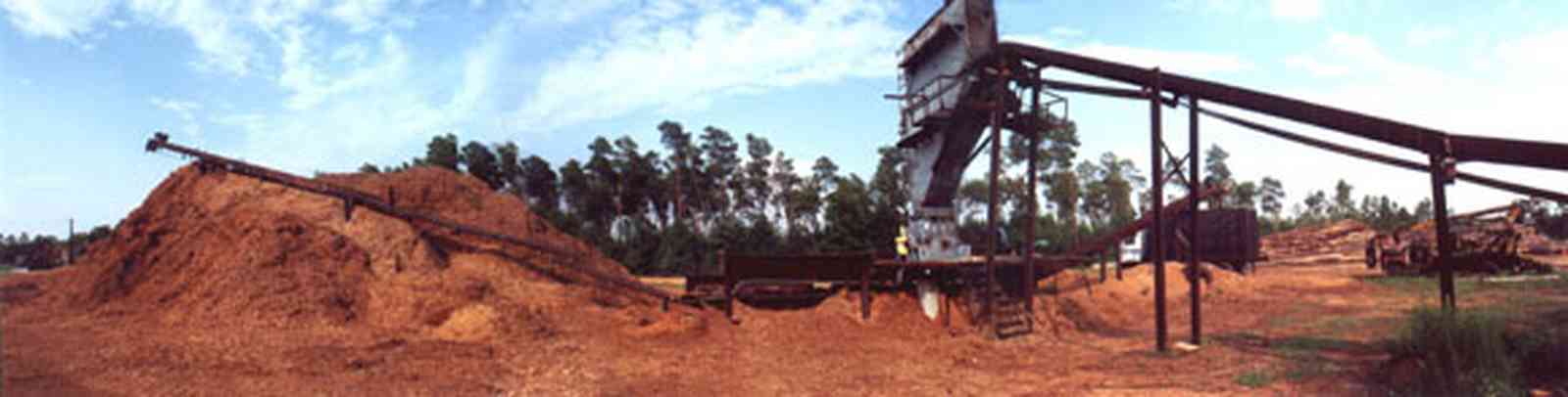 Harold:-Wilson-Lumber-Mill_1.jpg:  sawdust, conveyor belt, stack, lumber, cyprus lumber