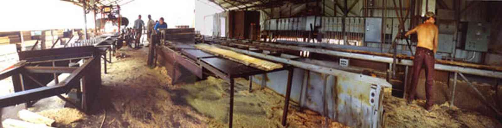 Harold:-Wilson-Lumber-Mill_10.jpg:  saw mill, cutting table, sawdust