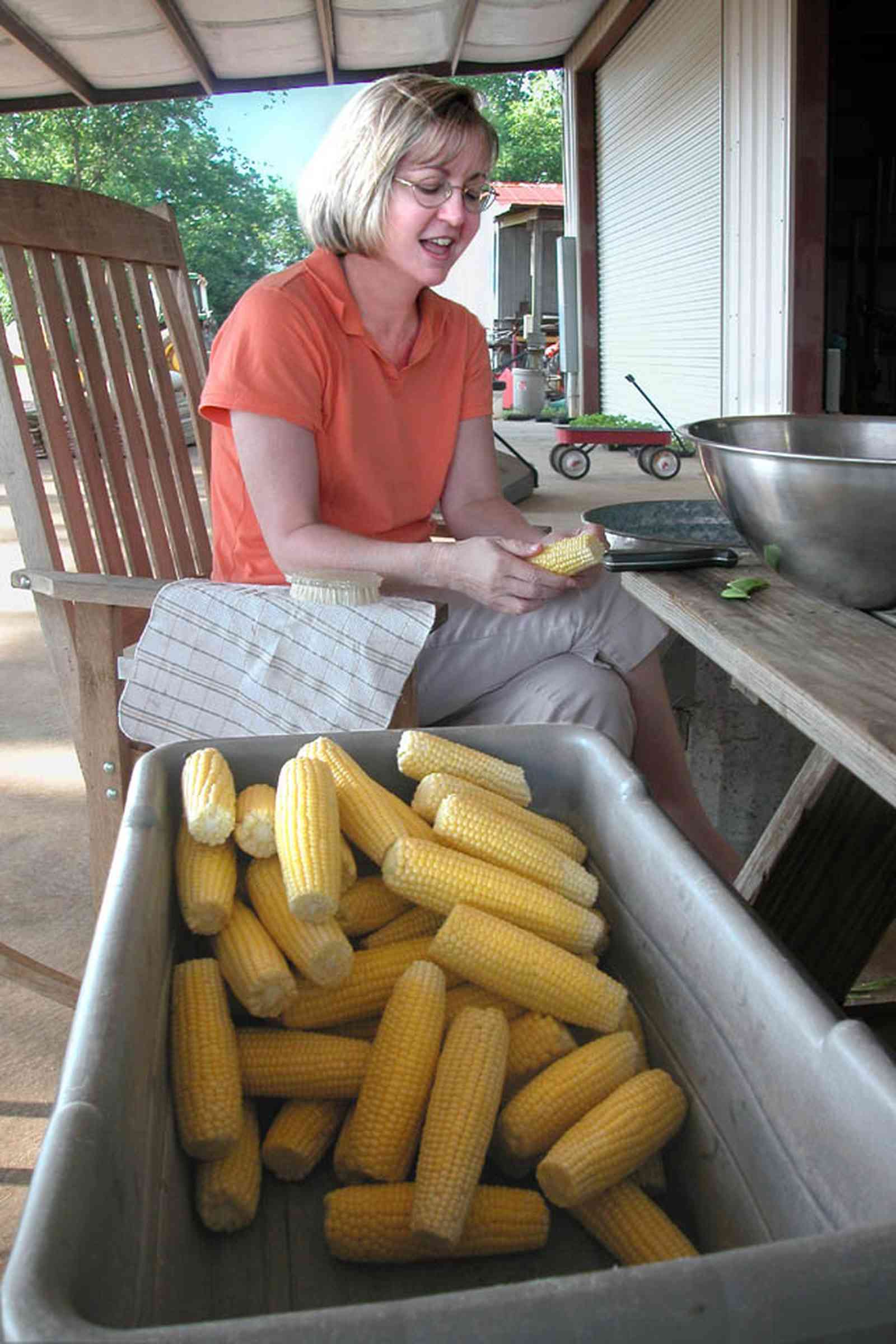 Hollandtown:-Holland-Farm:-Corn-Harvest_01.jpg:  corn cob, shuck corn, farmers wife, red wagon, barn, rocking chair