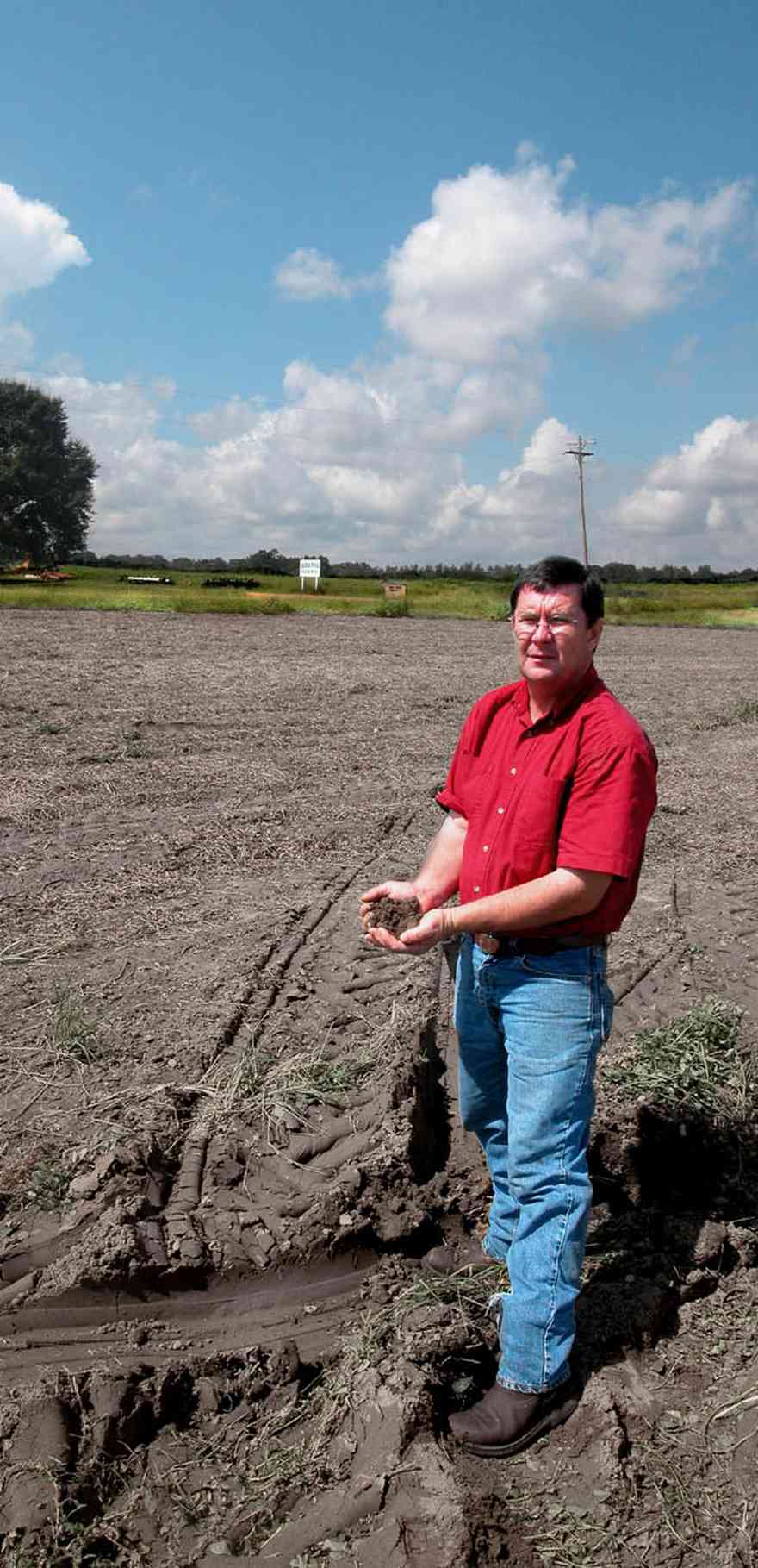 Hollandtown:-Holland-Farm:-North-Field_02.jpg:  farmer, soil, dark soil, farmland, cotton, tilled field