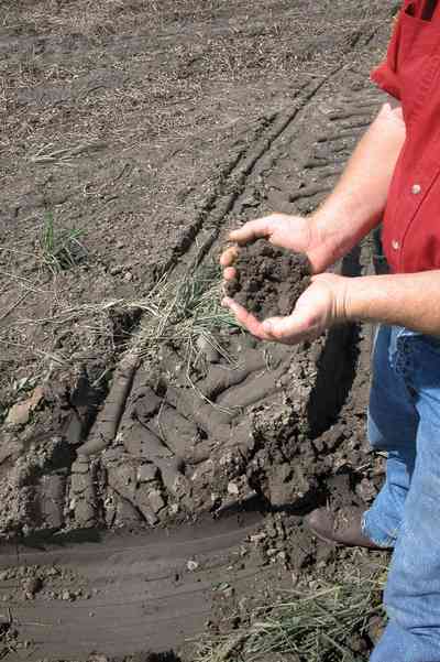 Hollandtown:-Holland-Farm:-North-Field_03.jpg:  soil, farm, farmer, farmland, soil test, black soil