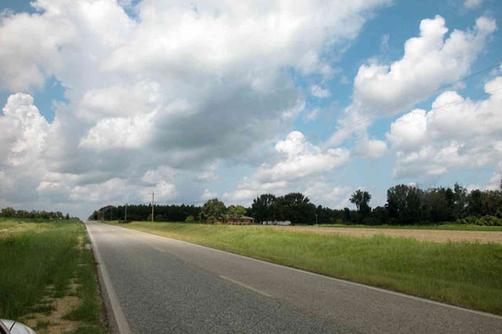 Hollandtown:-Holland-Farm:-North-Field_04.jpg:  country road, two-lane road, fields, cotton, peanut crop