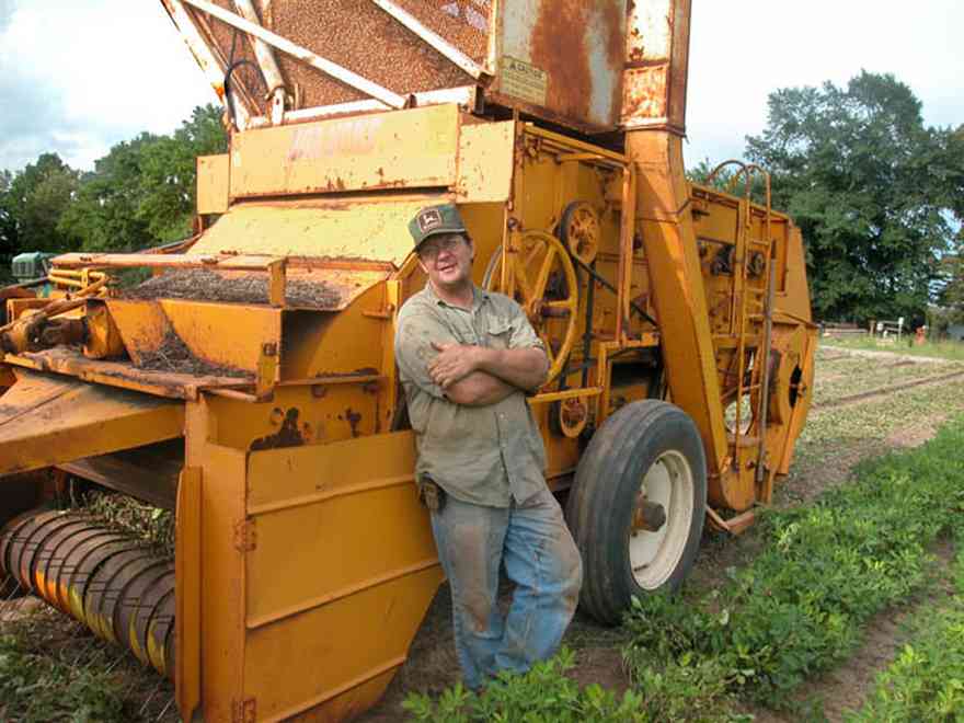 Hollandtown:-Holland-Farm:-Peanut-Picking_01.jpg:  peanut, harvest, combine, shelling, farmland, soil, nodules, plants, 