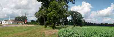 Hollandtown:-New-Bethel-Baptist-Church_01.jpg:  pecan tree, church, white steeple, cotton field, country road, two-lane road, farmland