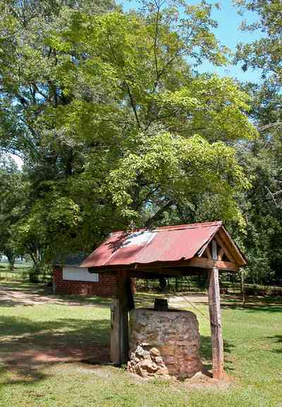 Jay:-Market-Road-Farm_00.jpg:  water well, farm, farmland, pecan trees, santa rosa county