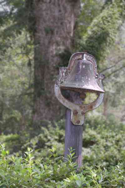 Jay:-Market-Road-Farm_03.jpg:  plantation bell, bell, pecan tree, farm, farmland, farm house, santa rosa country