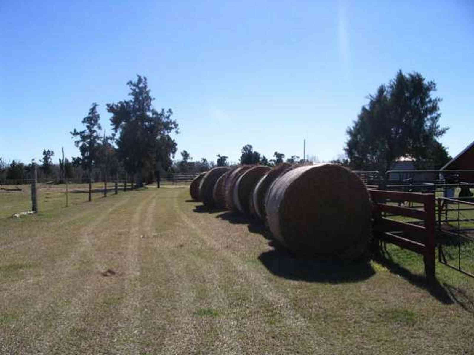 Leaning-Post-Ranch_02.jpg:  pine trees, hay bales, ranch, 