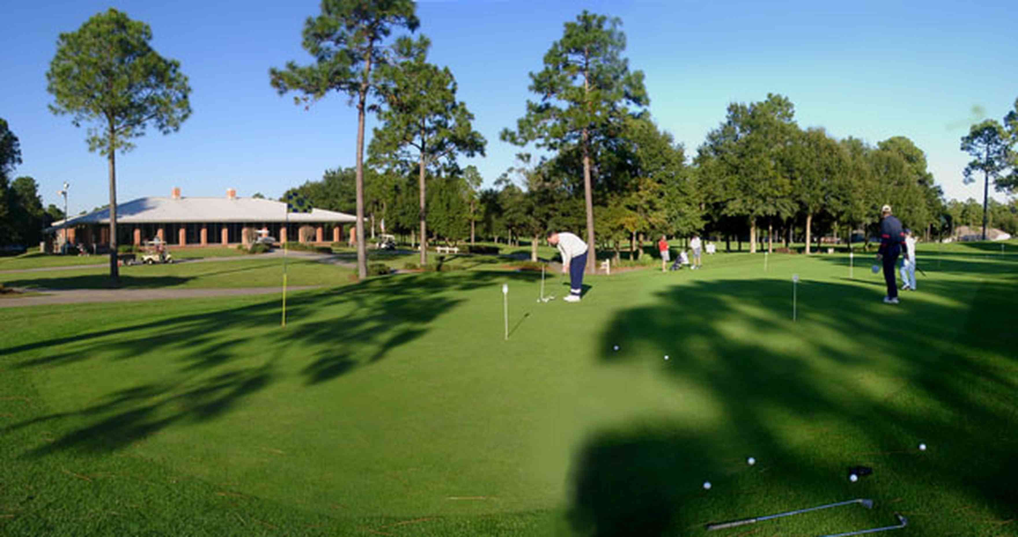 Marcus-Point:-Golf-Club_01.jpg:  golf course, fairway, green, pine tree