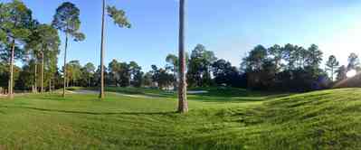 Marcus-Point:-Golf-Club_05.jpg:  green, fairway, golf course, short leaf pine trees