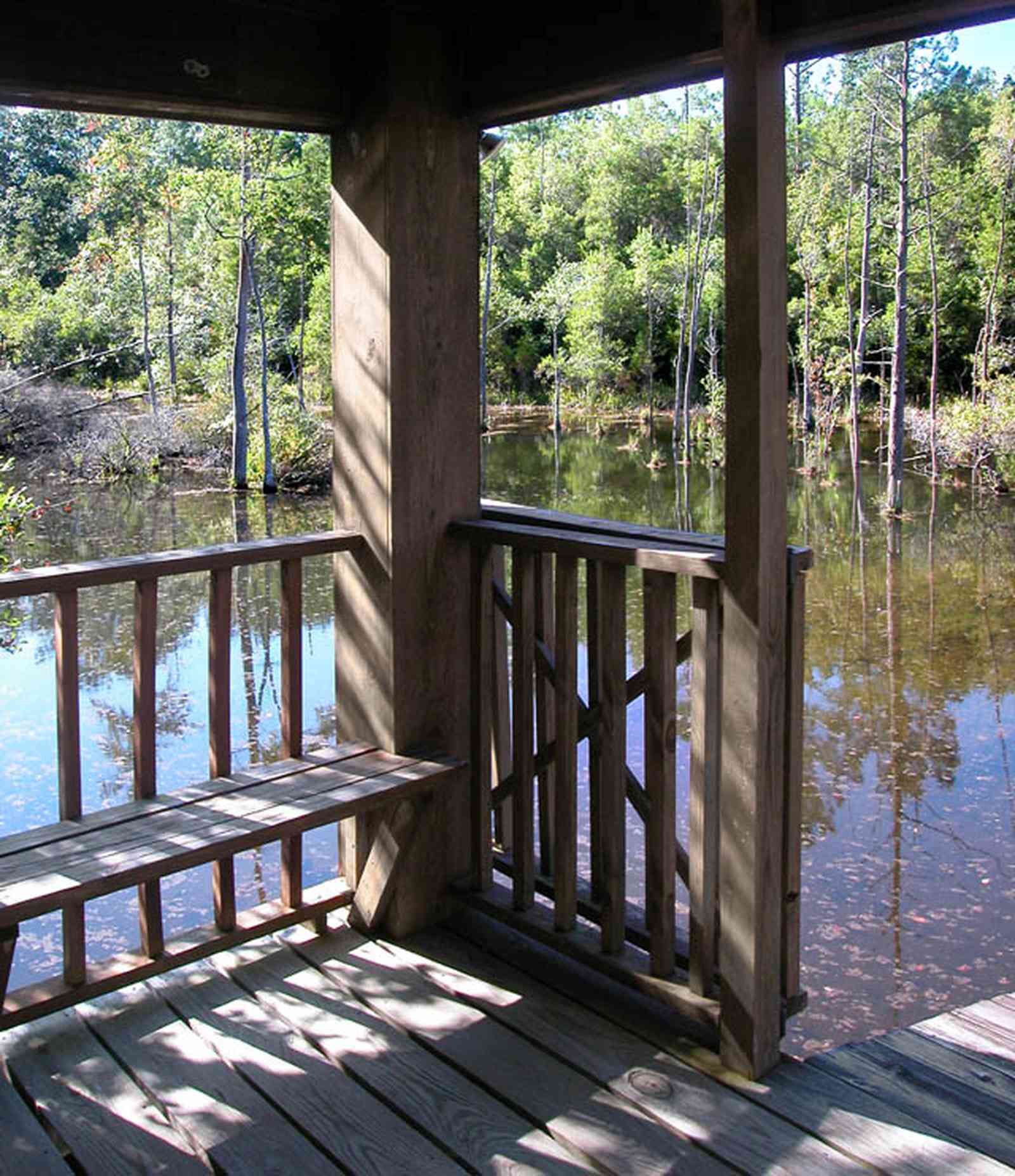Milton:-Pond-Creek_03a.jpg:  gazebo, dock, pier, deck, marsh, swamp, cedar tree, pine tree