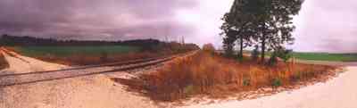 Molino:-Farmland_2.jpg:  winter wheat, railroad tracks, pine trees, pasture land, dirt road, farm land