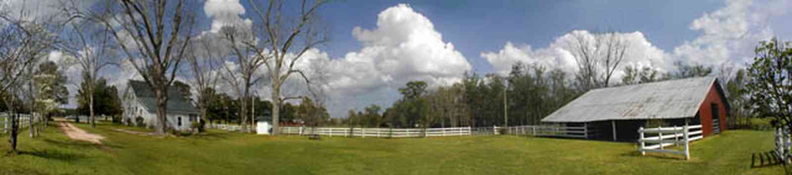 Molino:-Green-Farm_03.jpg:  farmland, pasture, barn, wooden fence, split rail fence, pasture land,