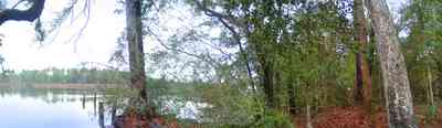 Mulat-Bayou:-Davis-Chigger-Ridge-House_1.jpg:  bayou, oak trees, escambia bay
