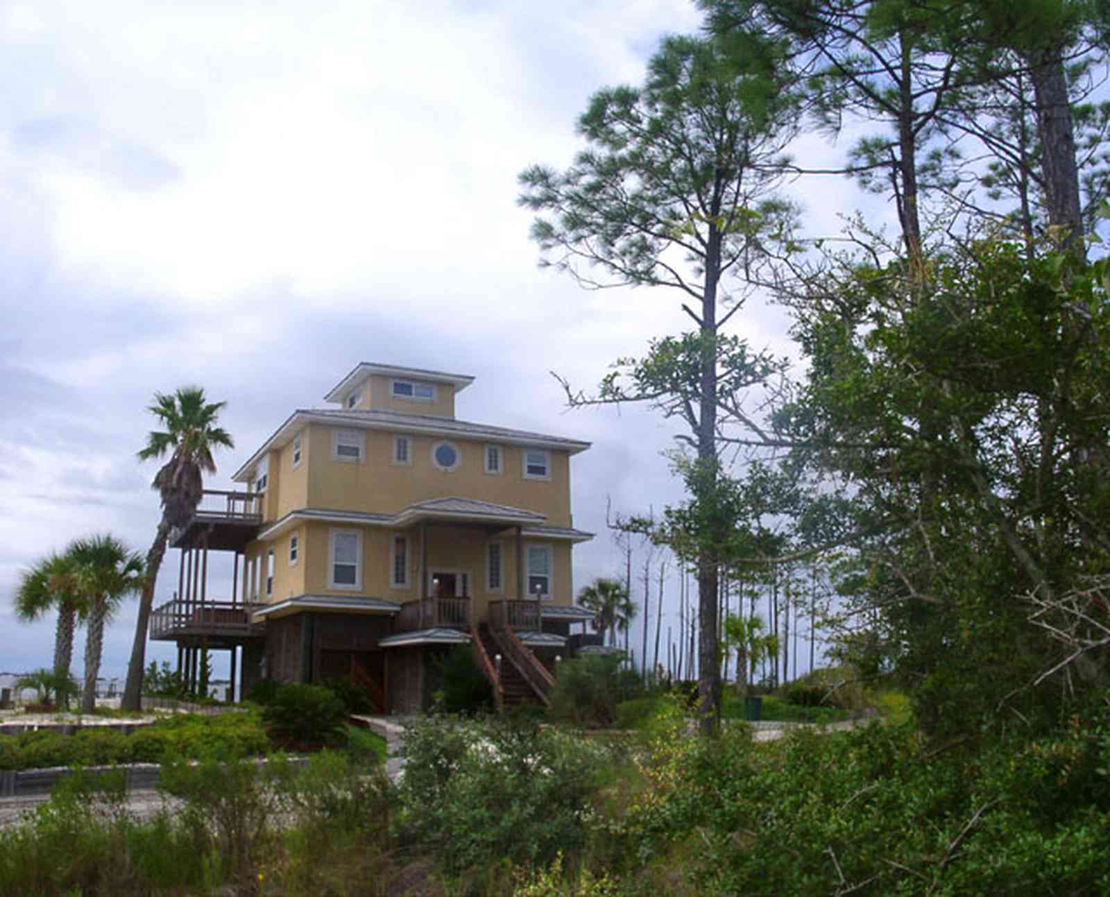 Navarre:-Biscayne-Pointe-Drive-House_06.jpg:  palm tree, pine tree, house, water, beach, swamp, wet land