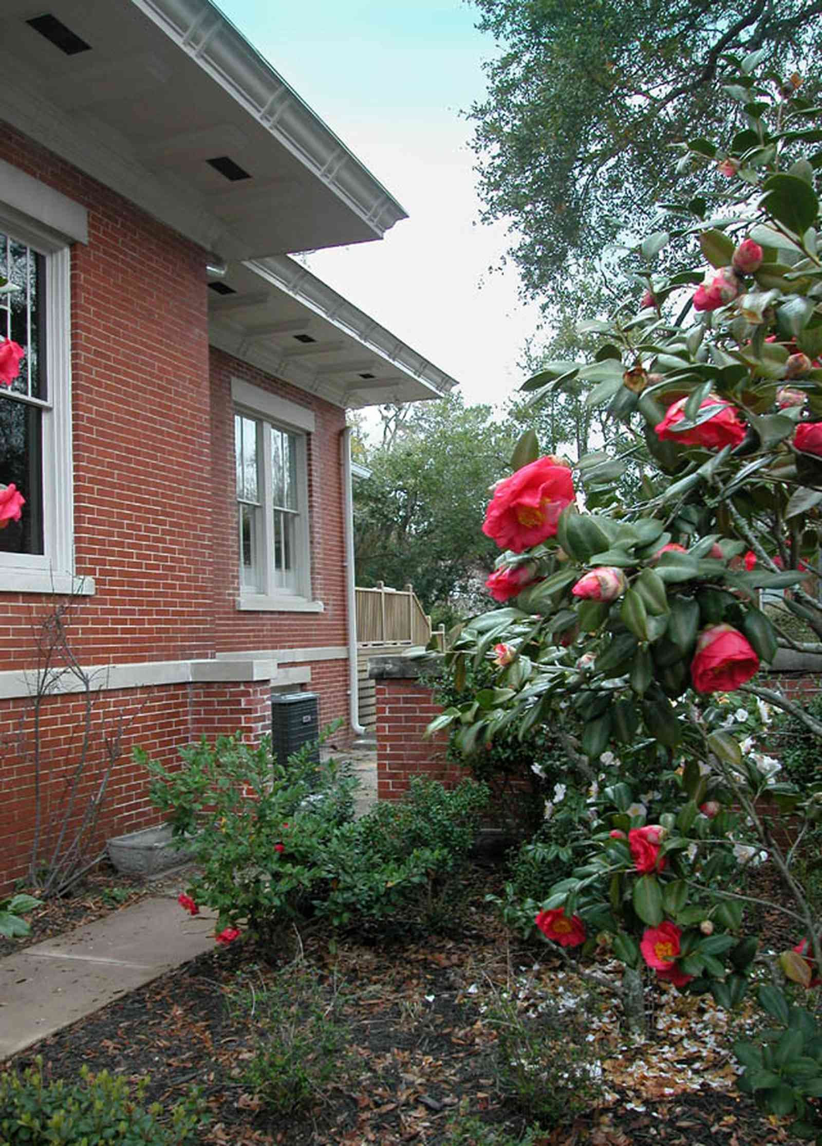 North-Hill:-116-DeSoto-St_03.jpg:  camellia bush, red brick house, spanish revival style, eaves, overhang, 