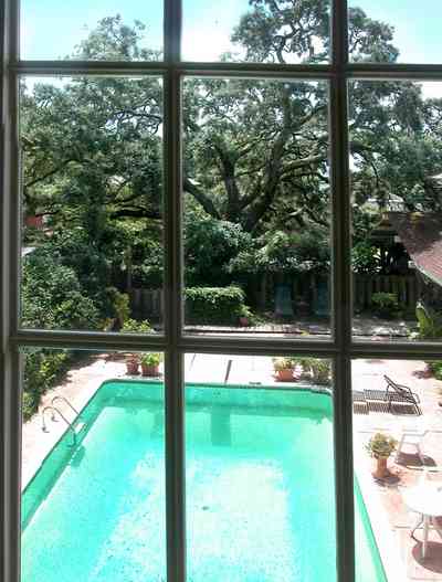 North-Hill:-284-West-Gonzales-Street_27a.jpg:  swimming pool, oak tree, upstairs apartment, craftsman cottage